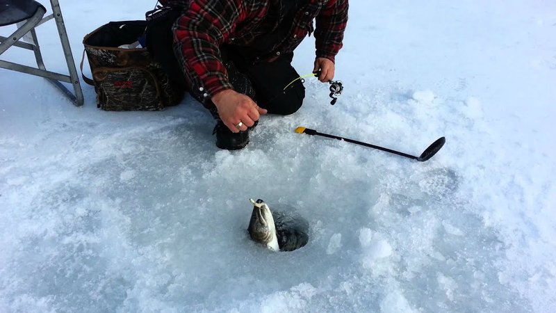 Experience the Thrill of Ice Fishing in Canada’s Frozen Wilderness